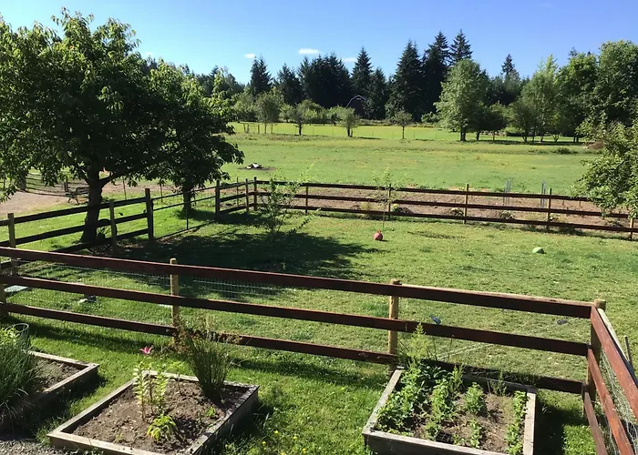 3G Farms Studio