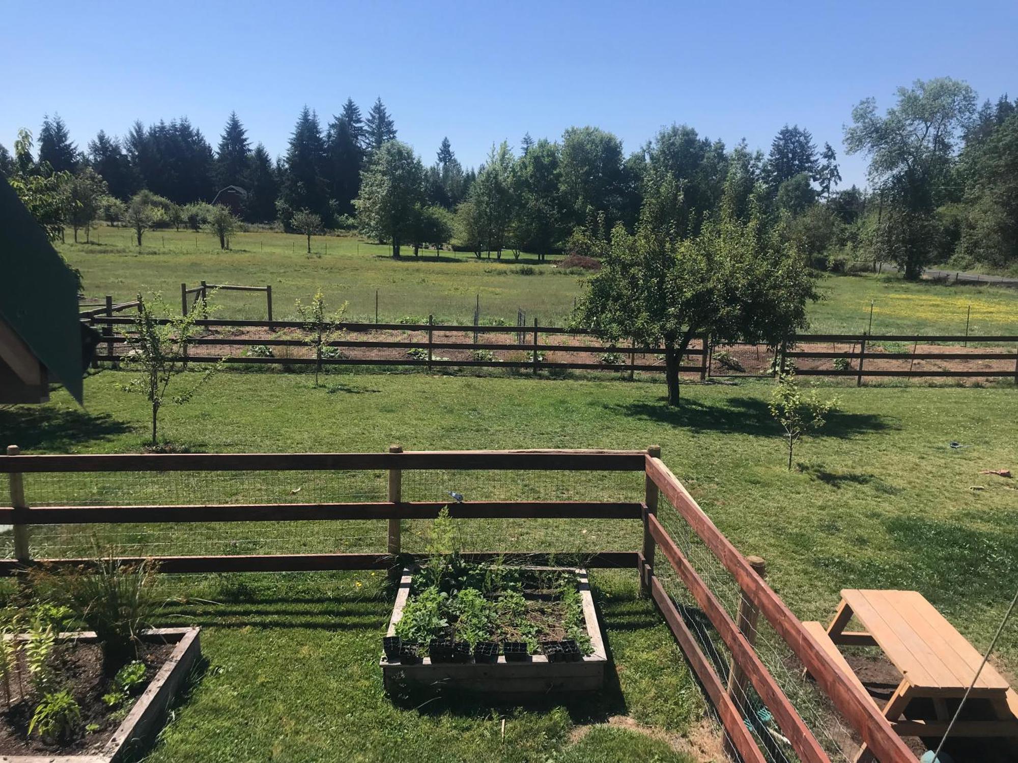 3g Farms